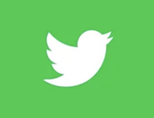 green twitter bird